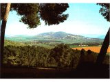 View of the Jezreel valley.